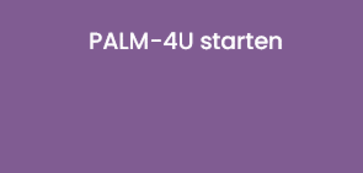 PALM-4U starten