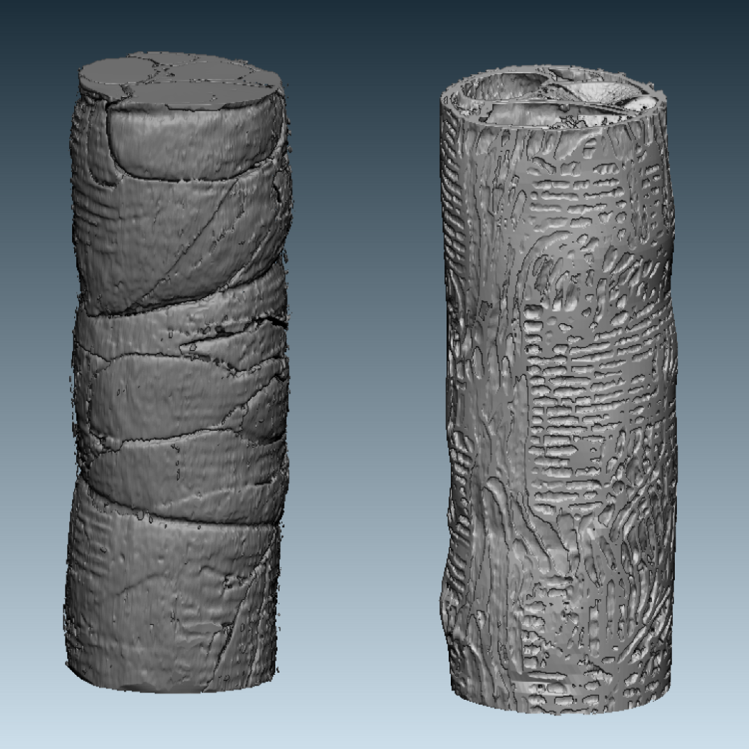 3D-Model der Gefässe in der Eiche