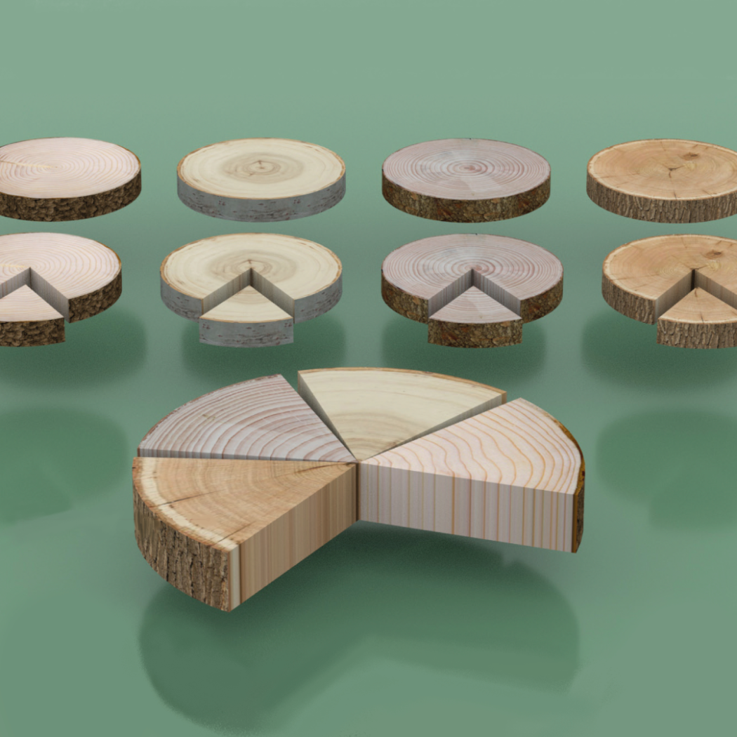 Different types of wood lined up