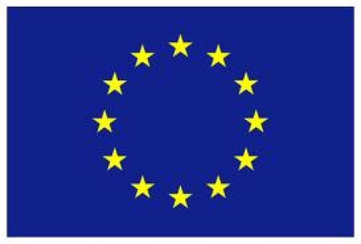 EU Logo